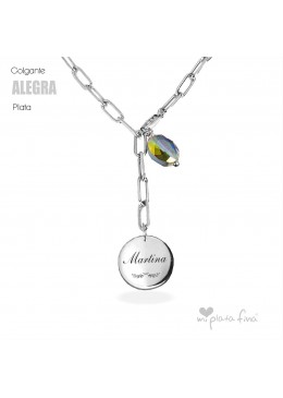 Colgante LONG ROMA plata