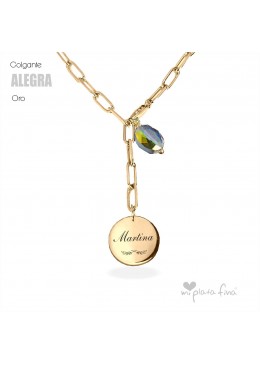 Colgante LONG ROMA plata