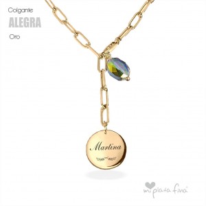 Colgante LONG ROMA plata